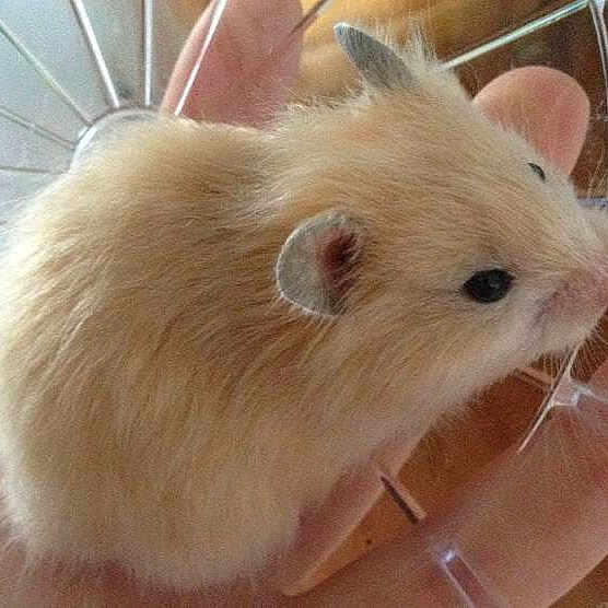 Paddington joined the competition — help win amazing prizes!