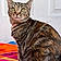 Cleo