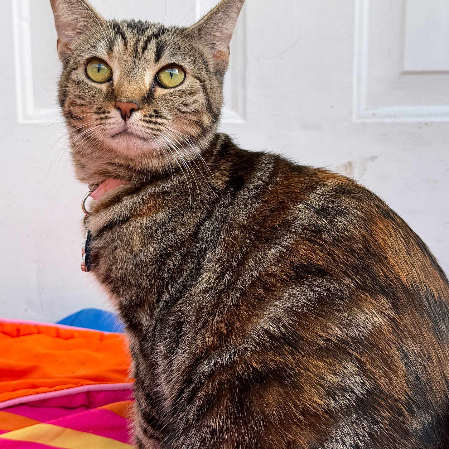 Cleo
