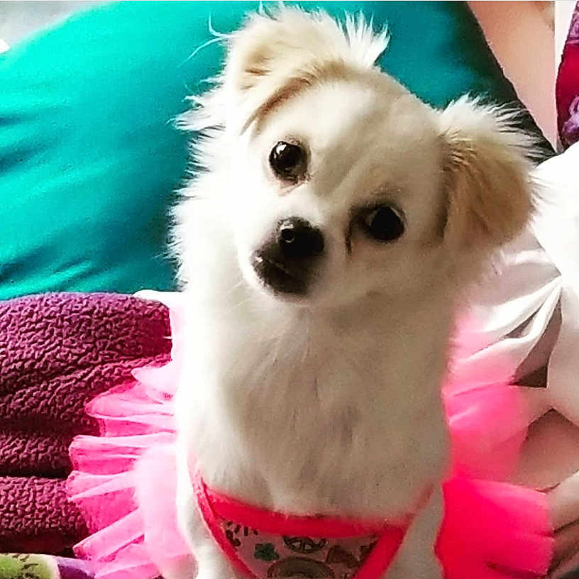 Lady Blanca Nieves