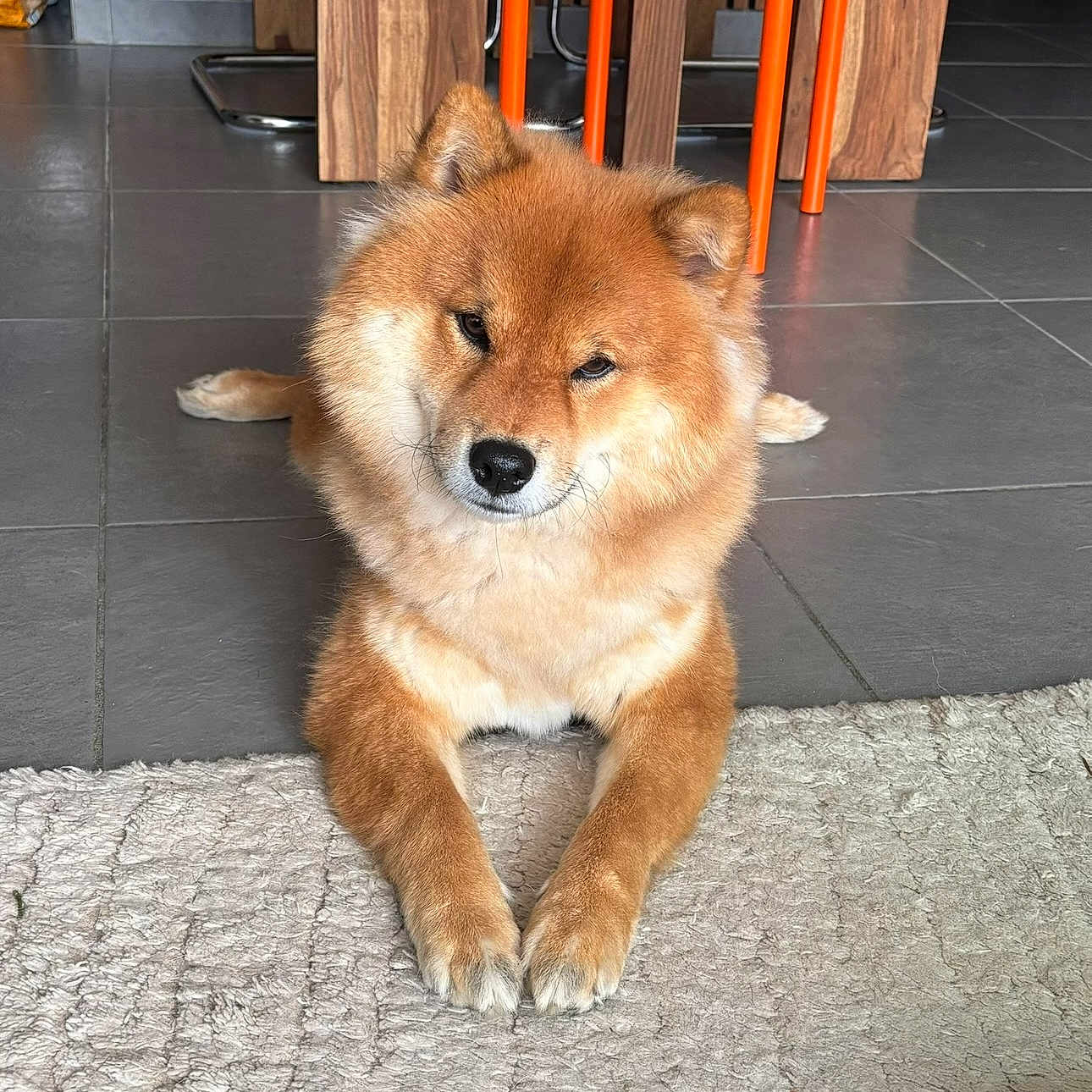 Taichi