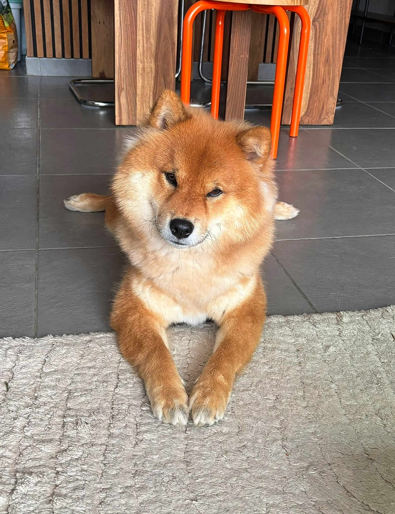 Taichi
