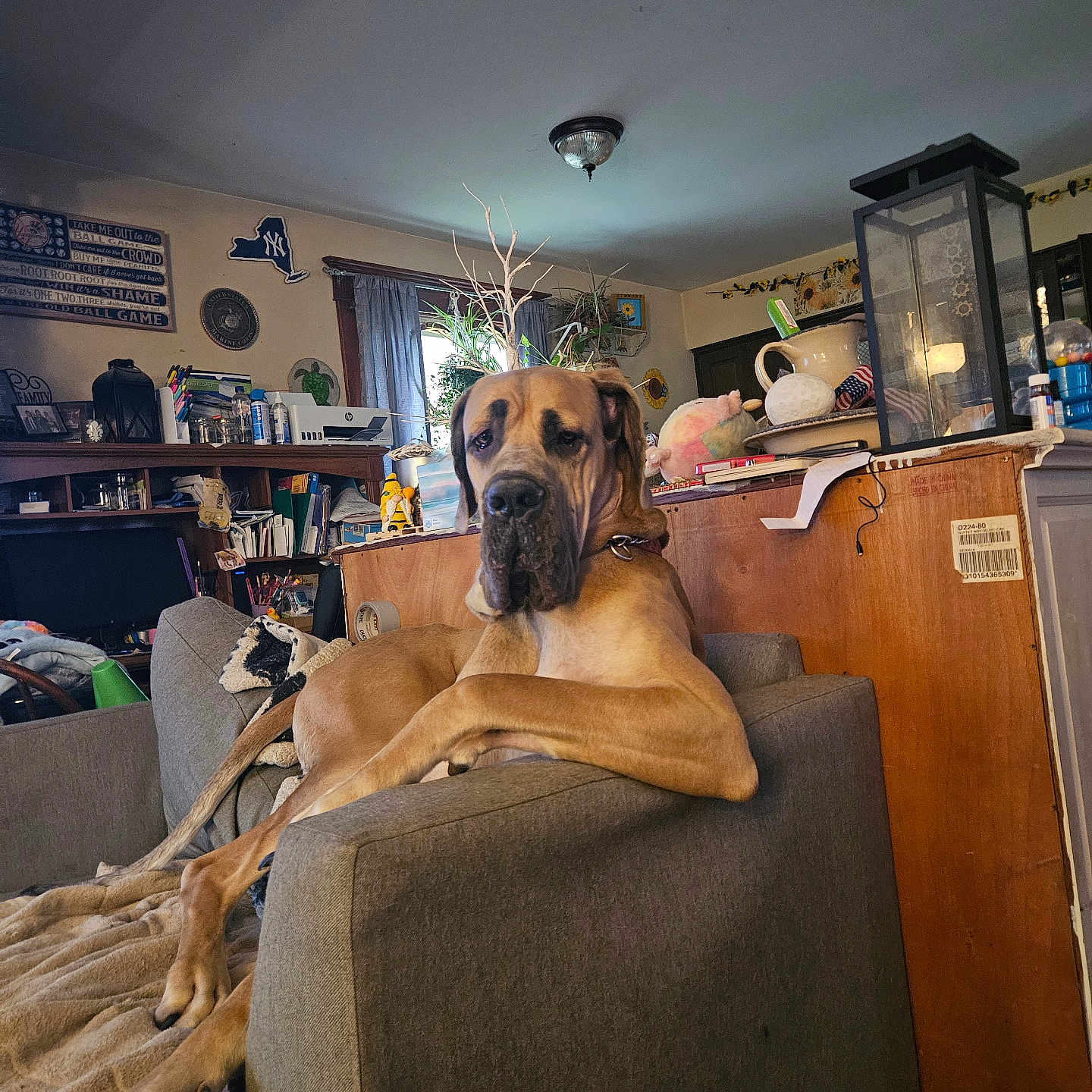 Thor