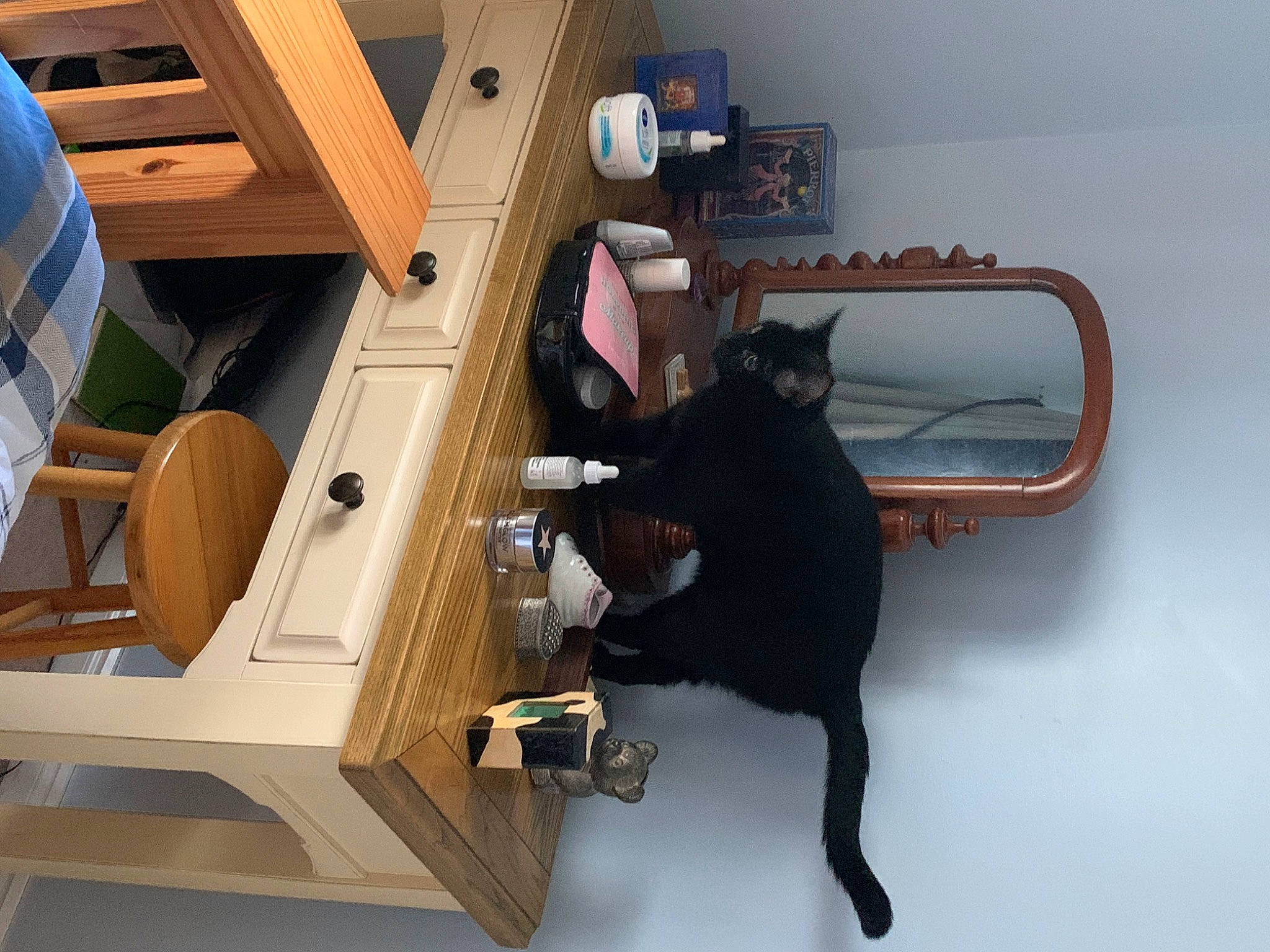 Sid Vicious is registered to the contest to win money with this photo: black_cat, bombay, carnivore, cat, chair, comfort, domestic_short_haired_cat, felidae, flooring, fur, hardwood, pet_supply, plywood, room, small_to_medium_sized_cats, table, tail, whiskers, wood, wood_stain