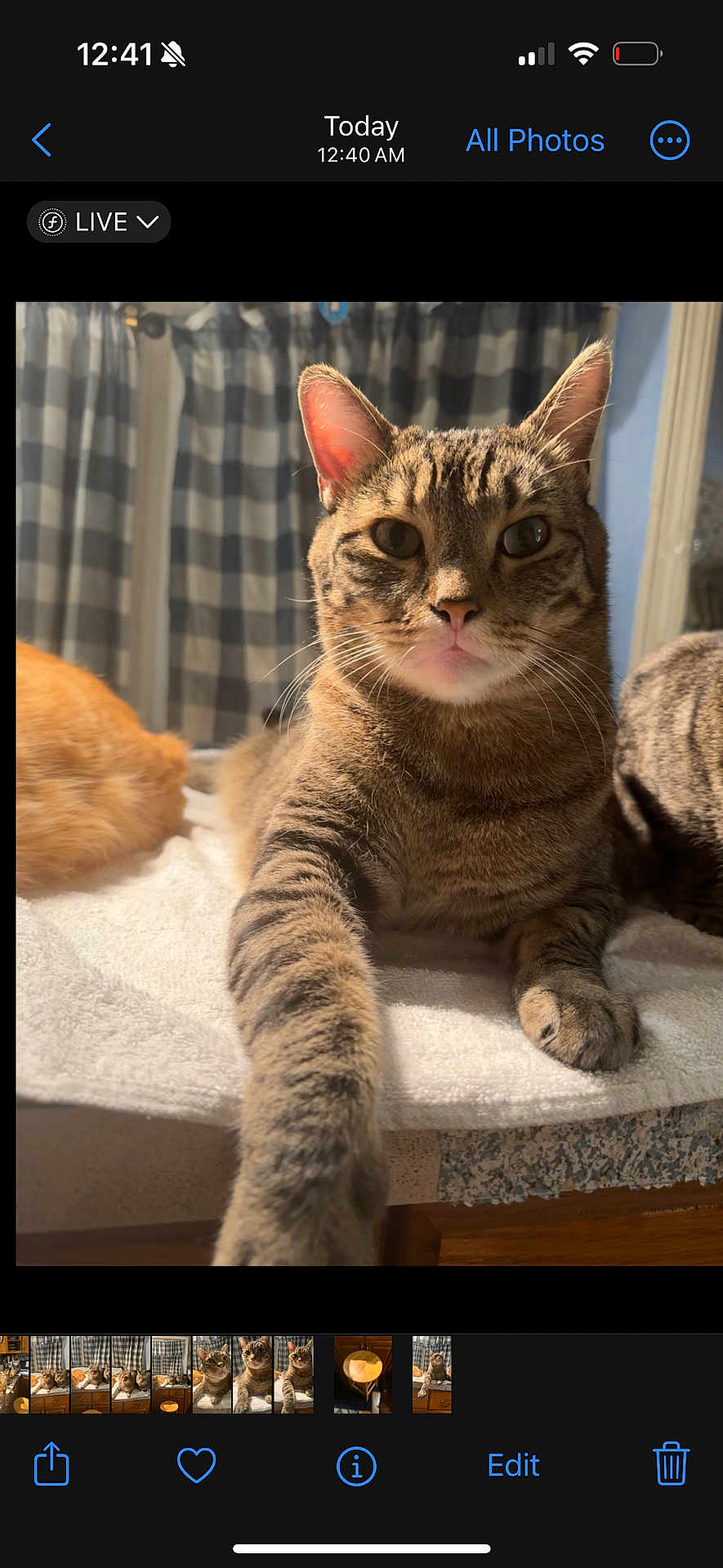 Beau
