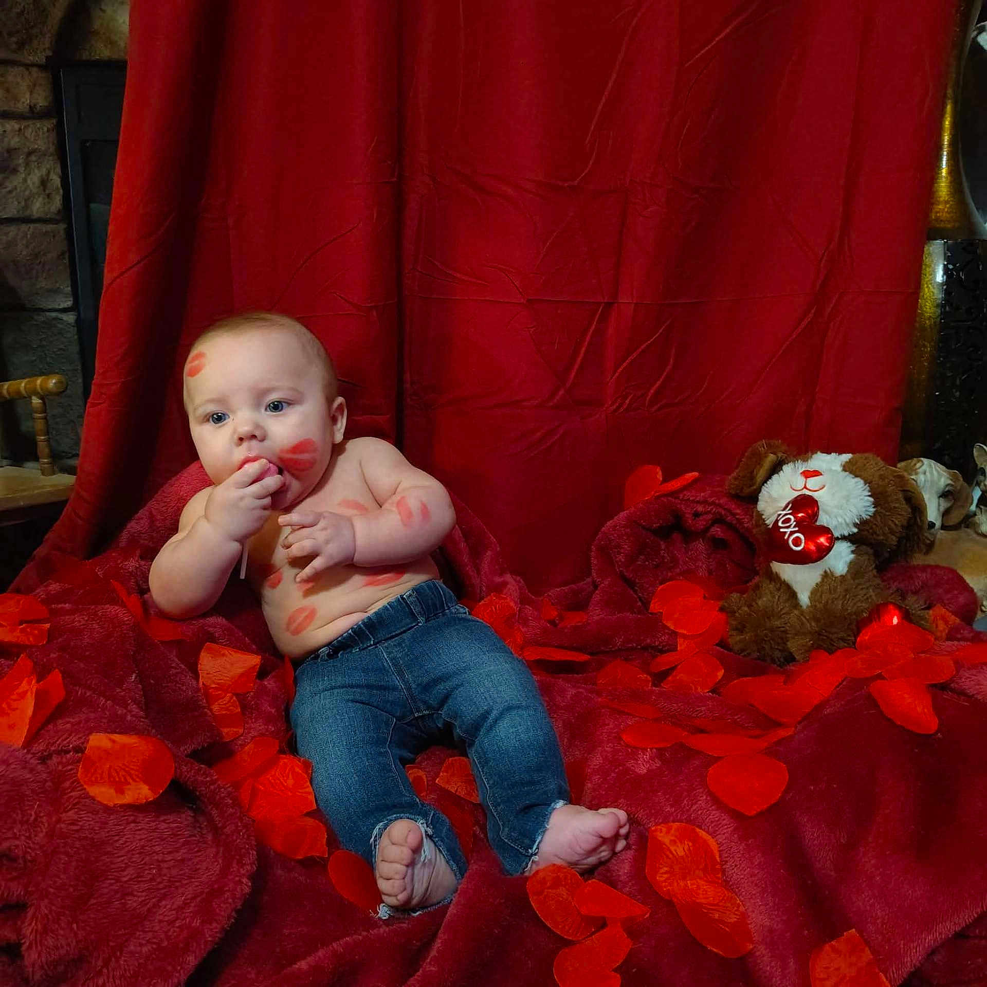Sawyer joined the competition — help win amazing prizes! baby, infant, child, jeans, bare_torso, lipstick_kisses, red_petals, red_blanket, red_backdrop, teddy_bear, plush_toy, heart, valentine_theme, dog_face, indoor, portrait, stone_wall, wooden_chair, blanket, cute