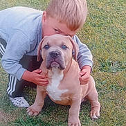 Simba participe au concours pour gagner de l'argent avec cette photo : boy, puppy, dog, grass, outdoor, child, pet, cute, animal, young, playing, casual_clothing, nature, friendship, portrait, grass_field, happy, sitting, smiling, daylight