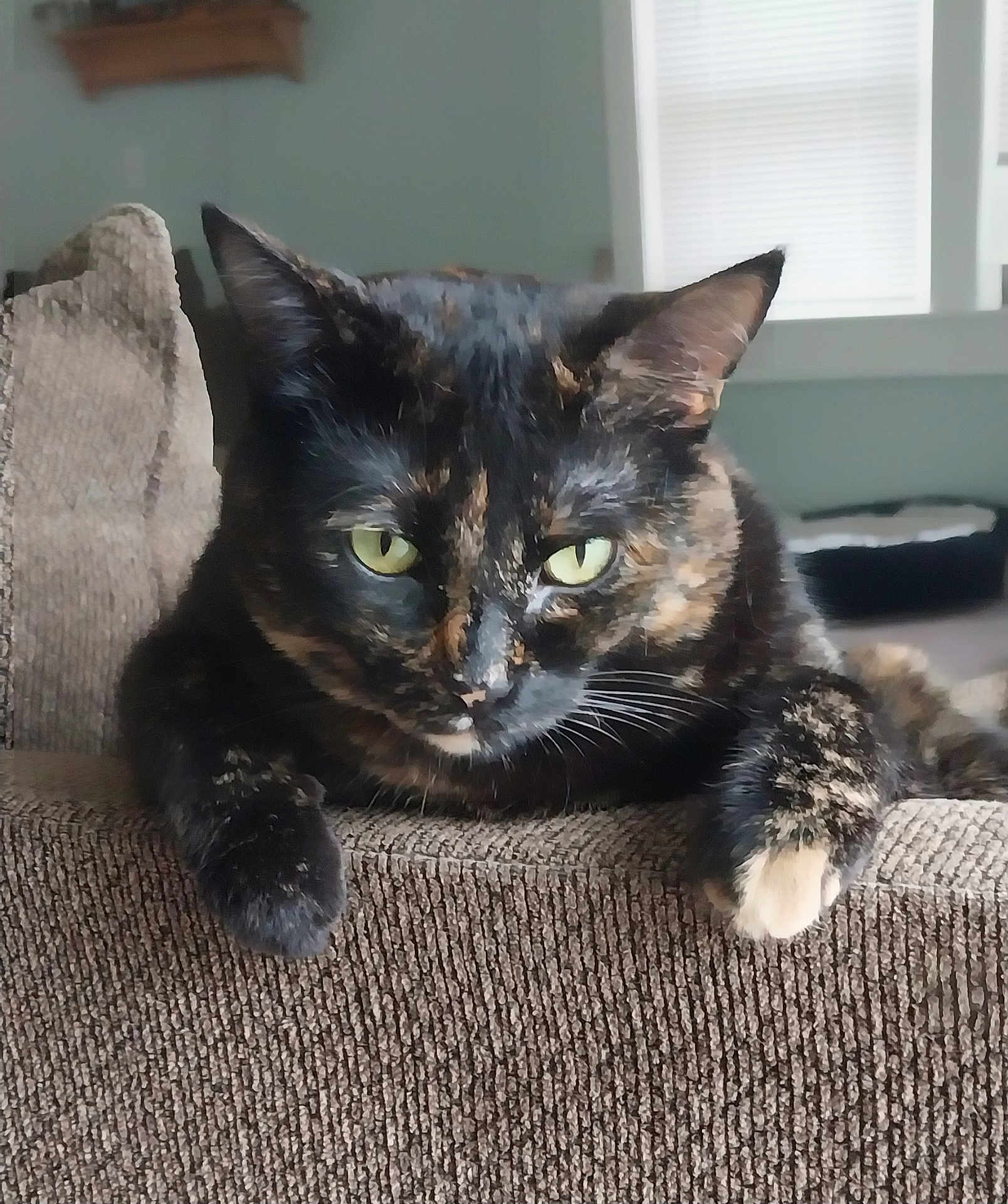 Copper