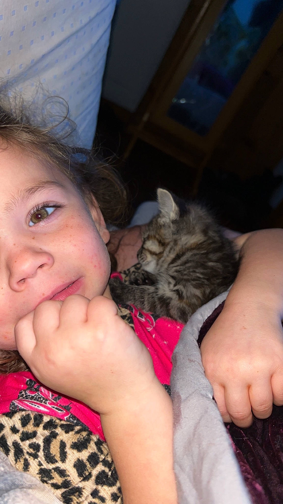 Nova joined the competition — help win amazing prizes! carnivore, cat, comfort, ear, eye, eyelash, fawn, felidae, finger, gesture, hair, hand, happy, iris, jaw, mouth, nose, organ, person, skin