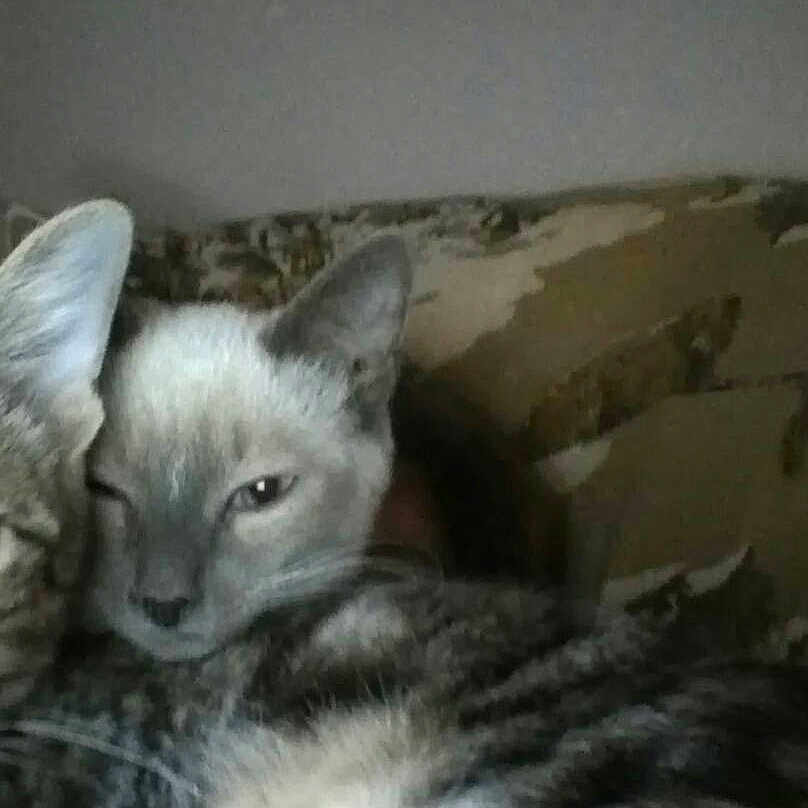Ash And Sneezy
