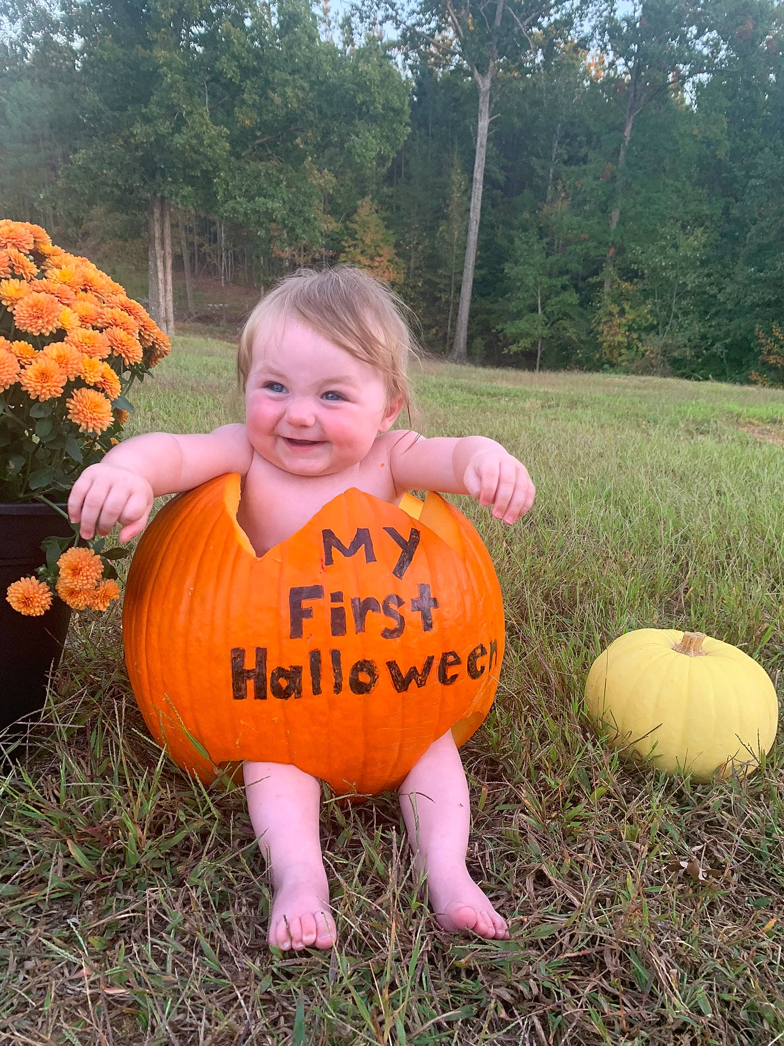 Lilith joined the competition — help win amazing prizes! baby_toddler_clothing, calabaza, child, cucurbita, gourd, grass, happy, joy, landscape, leaf, local_food, natural_foods, people_in_nature, person, plant, pumpkin, smile, squash, toddler, tree