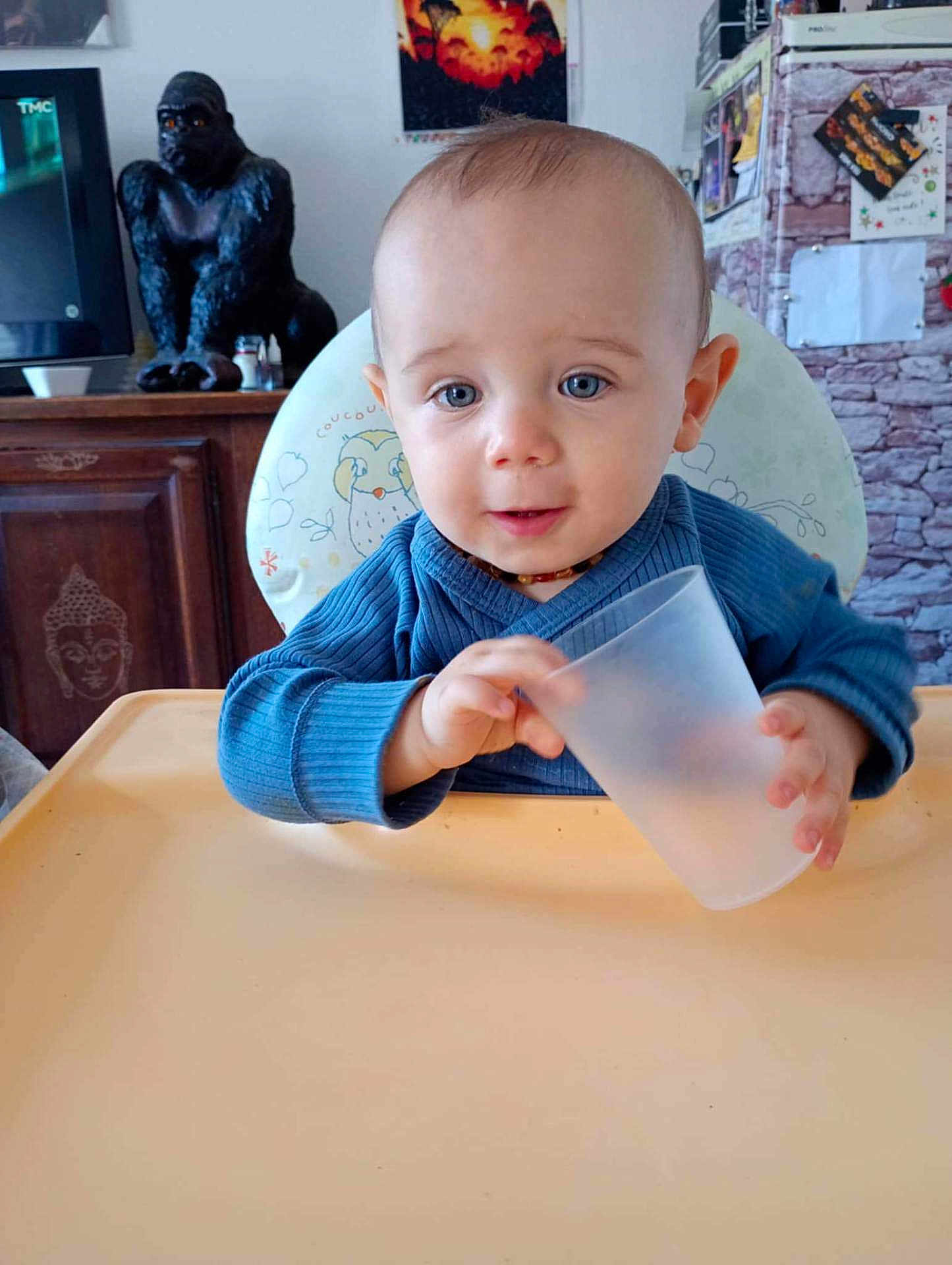 Samson participe au concours pour gagner de l'argent avec cette photo : baby, child, blue_sweater, high_chair, plastic_cup, indoor, furniture, gorilla_figurine, shelf, cabinet, face, person, smiling, cute, home, decor, light, portrait, hand, table