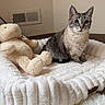 cat, stuffed_animal, plush, pet_bed, white, furry, indoor, cozy, animal, curious, seated, toy, soft, beige_wall, vent, fur, whiskers, ears, tail, domestic_pet