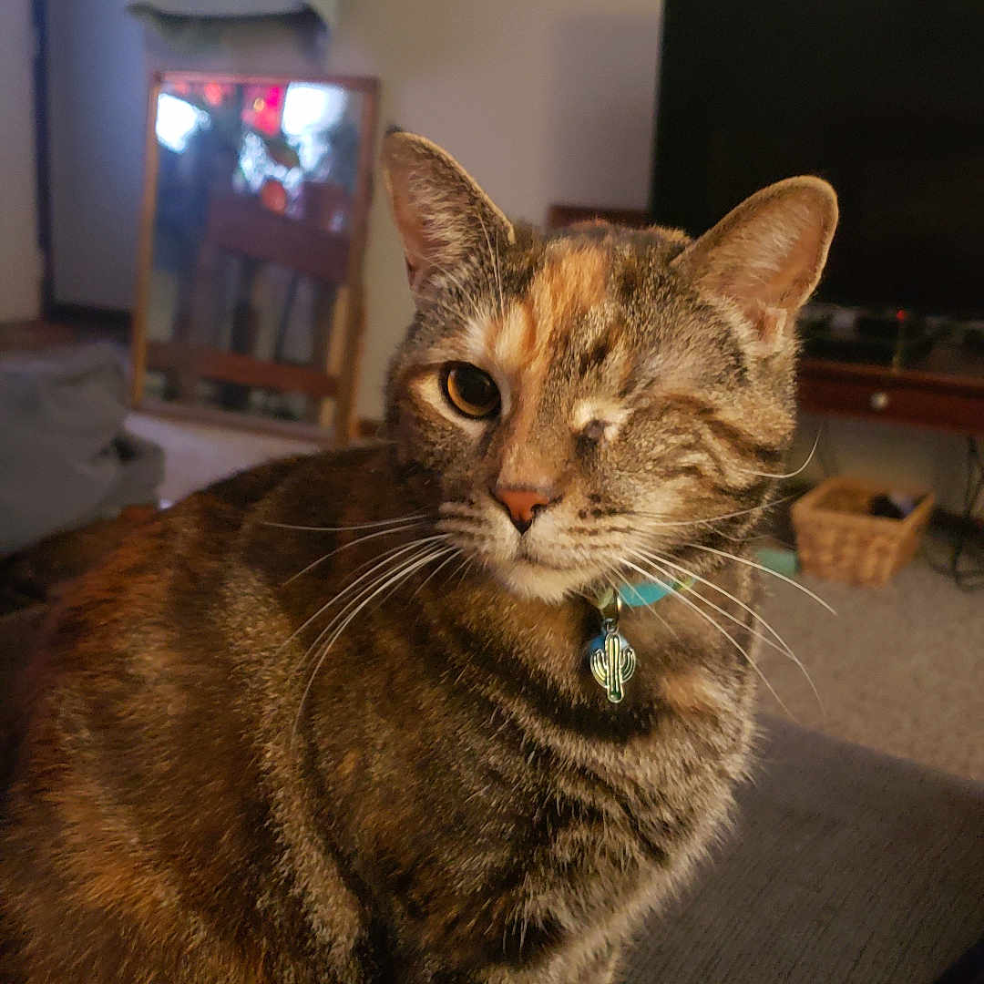 Ember