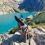 Saïta participe au concours pour gagner de l'argent avec cette photo : dog, brindle_coat, leash, rock, lake, mountain, sky, cloud, outdoor, nature, water, scenery, sunlight, human_hand, pet, animal, adventure, landscape, blue_sky, rocks