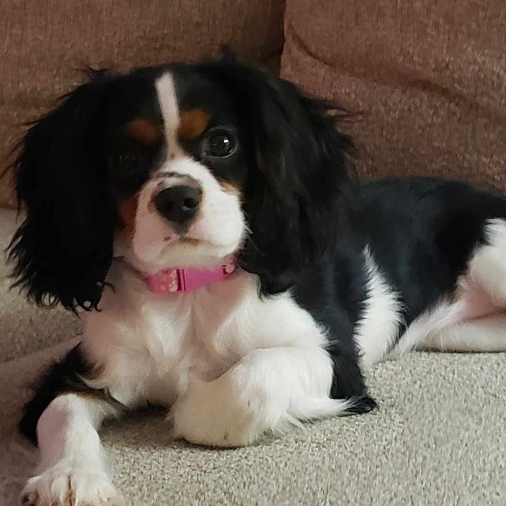 Maggie