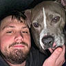 man, person, dog, pit_bull, pet, canine, animal, selfie, portrait, cuddling, indoors, close_up, face, beard, hand, black_shirt, gray_dog, white_marking, floppy_ears, dim_lighting