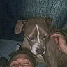 man, person, beard, smiling, face, portrait, selfie, dog, canine, brown_dog, white_markings, floppy_ears, pet, animal, cuddling, indoors, couch, close_up, happy, grainy_photo