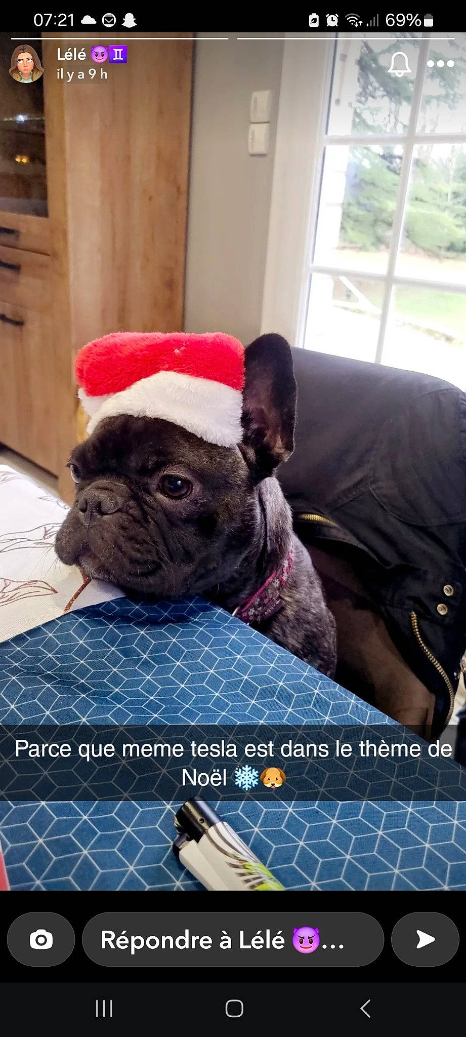 Tetla participe au concours pour gagner de l'argent avec cette photo : canidae, carnivore, collar, comfort, companion_dog, couch, dog, dog_breed, electric_blue, fawn, linens, pattern, pug, puppy, snout, terrestrial_animal, toy_dog, window, window_blind, wrinkle