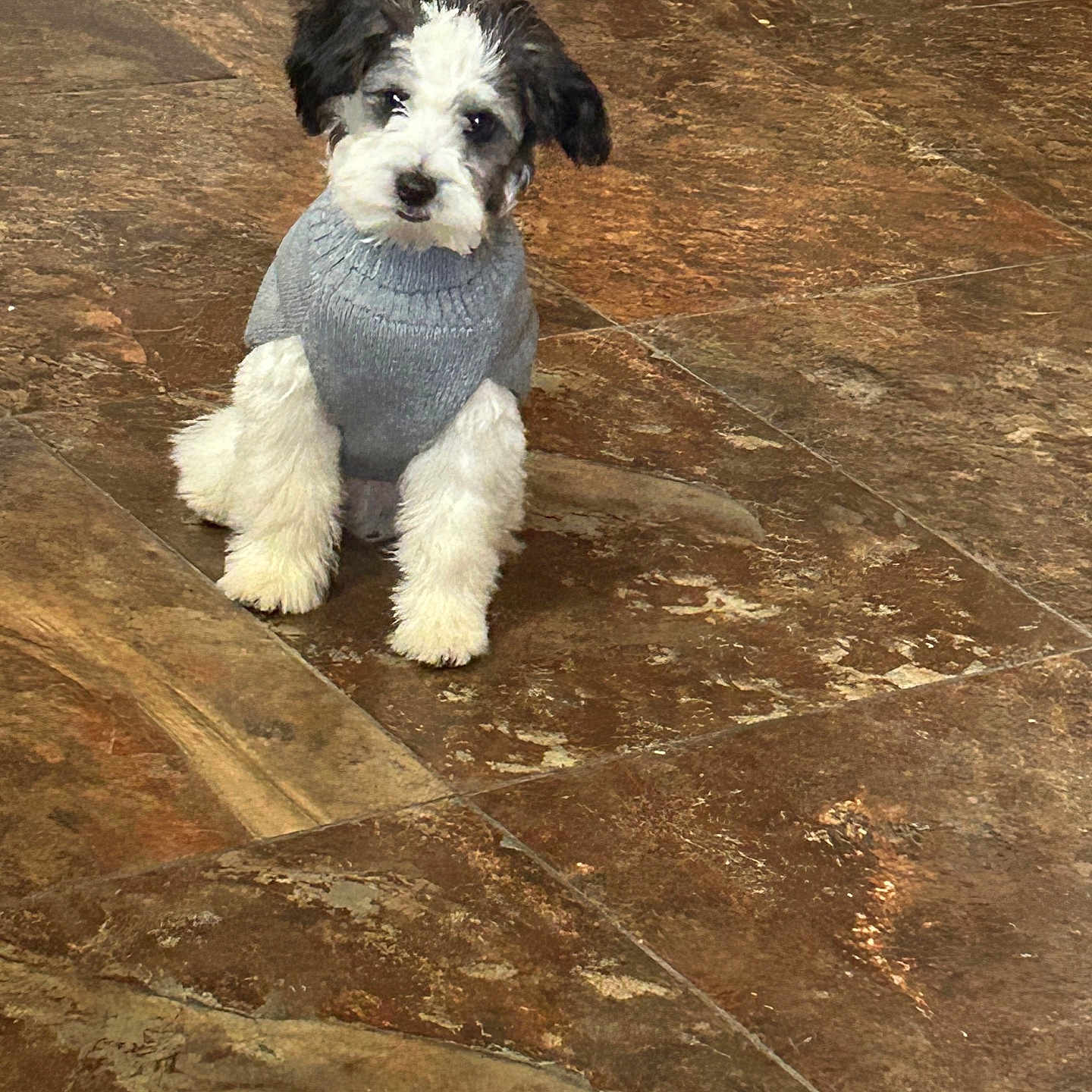 Oreo