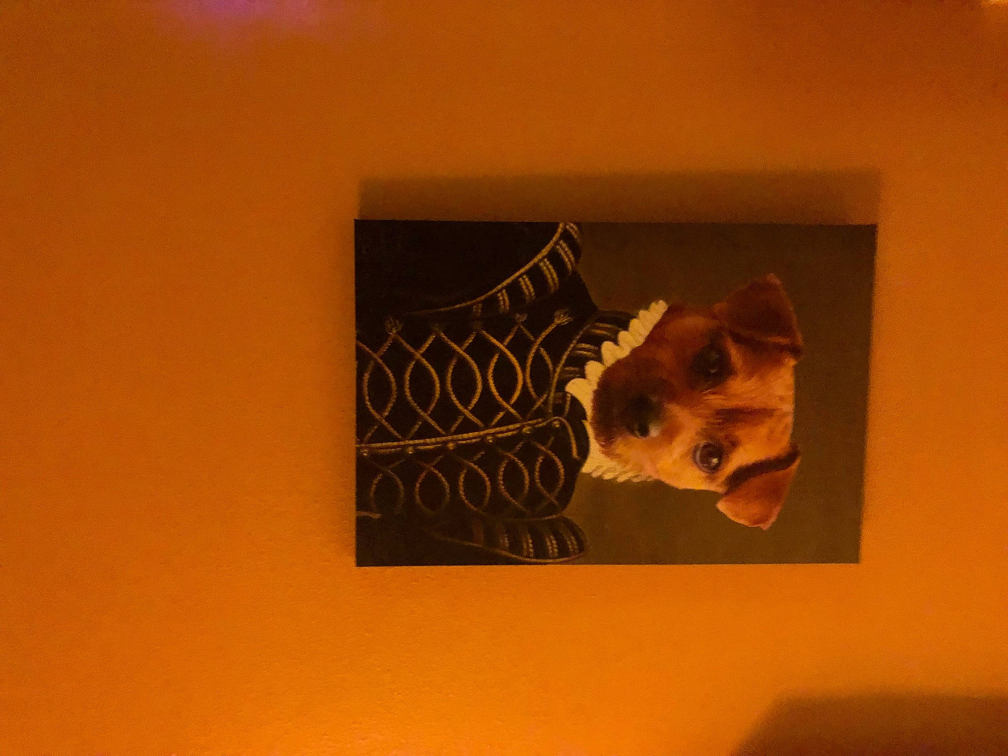 Milo joined the competition — help win amazing prizes! art, ear, fawn, room, square