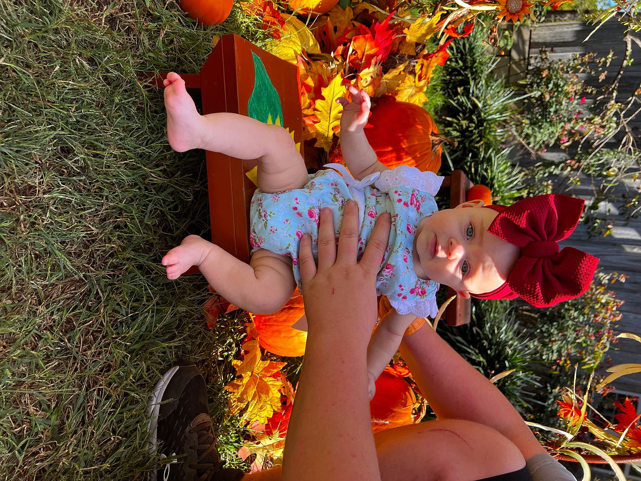 Remington joined the competition — help win amazing prizes! calabaza, child, dress, event, fun, grass, happy, hat, headwear, human_leg, leisure, orange, people_in_nature, person, plant, pumpkin, recreation, shorts, thigh, tradition