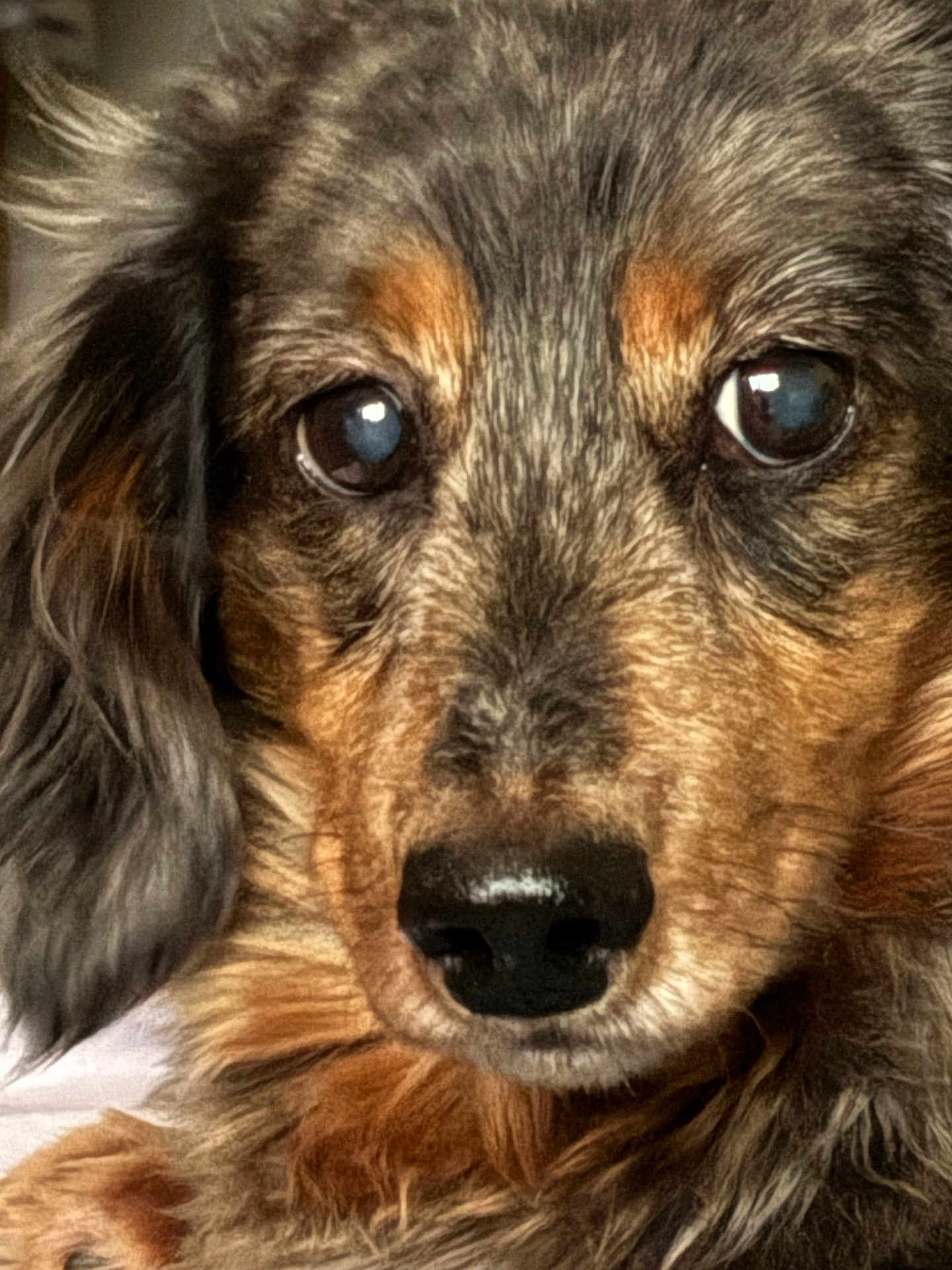 Obi