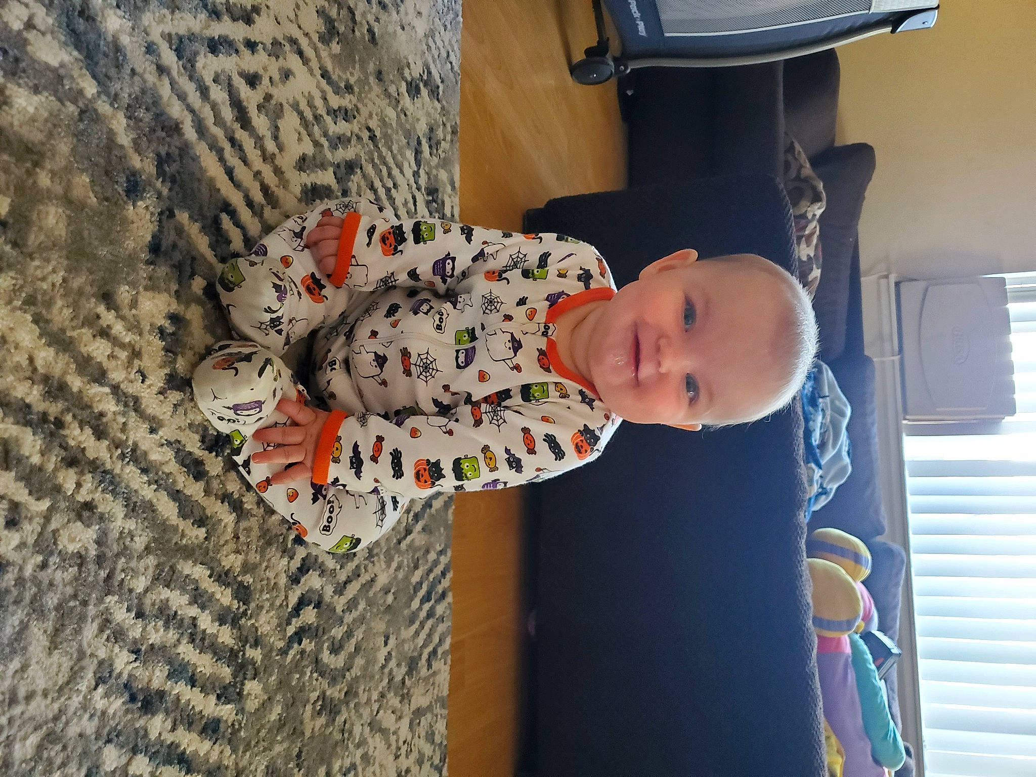 Paisley joined the competition — help win amazing prizes! automotive_exterior, baby, child, dress, flooring, fun, hat, joy, office_equipment, office_supplies, pattern, person, plant, printer, room, sitting, smile, t_shirt, toddler, tree