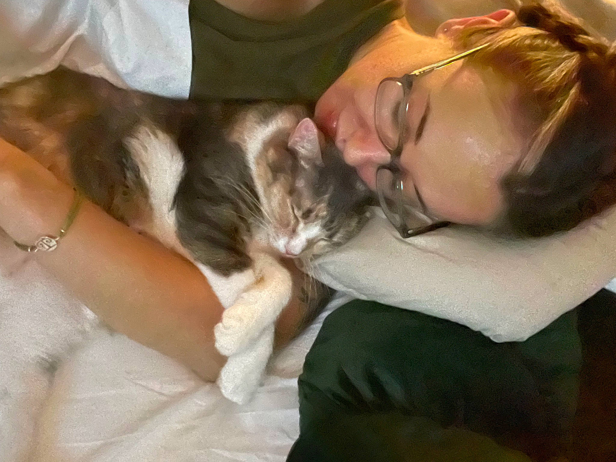 Pixie is registered to the contest to win money with this photo: carnivore, cat, comfort, companion_dog, ear, eye, fawn, felidae, finger, gesture, hand, happy, hug, iris, lap, long_hair, small_to_medium_sized_cats, smile, tree, whiskers