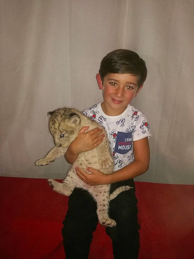 Esdras a rejoint le concours — aidez-le/la à gagner de superbes lots ! abdomen, arm, carnivore, cat, child, felidae, joint, joy, leg, person, shoulder, skin, small_to_medium_sized_cats