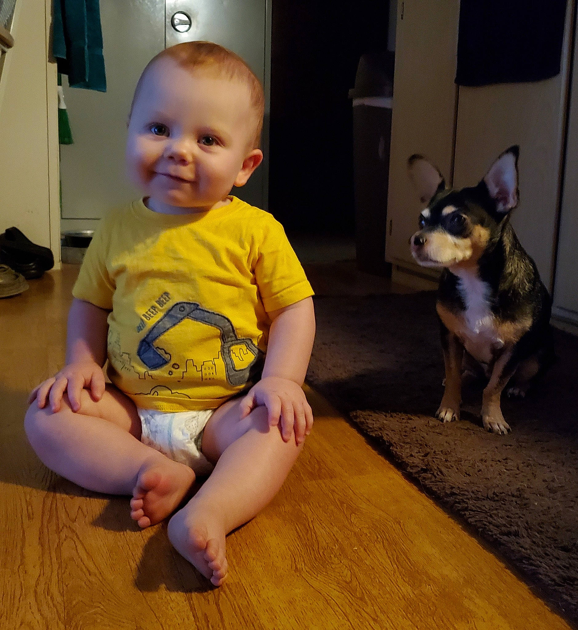 Zachariah is registered to the contest to win money with this photo: canidae, carnivore, child, companion_dog, dog, dog_breed, ear, fawn, floor, flooring, hardwood, head, leg, mammal, nose, person, sitting, skin, toddler, wood