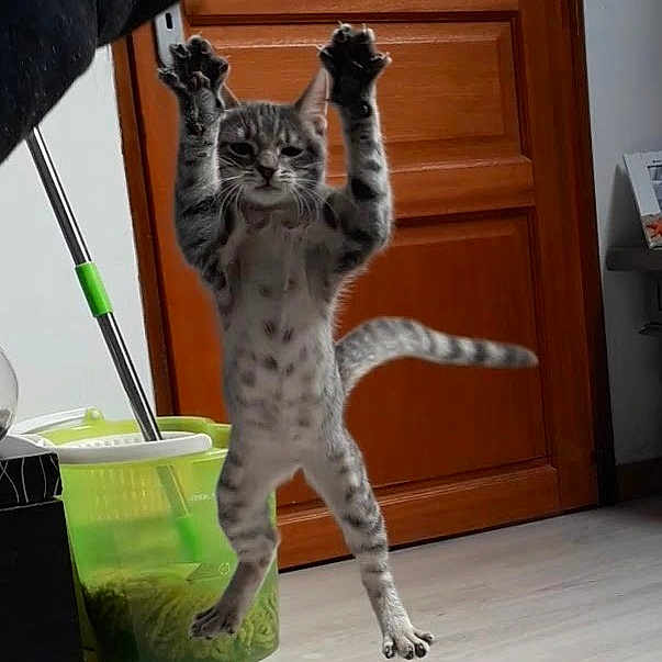 Tigrou
