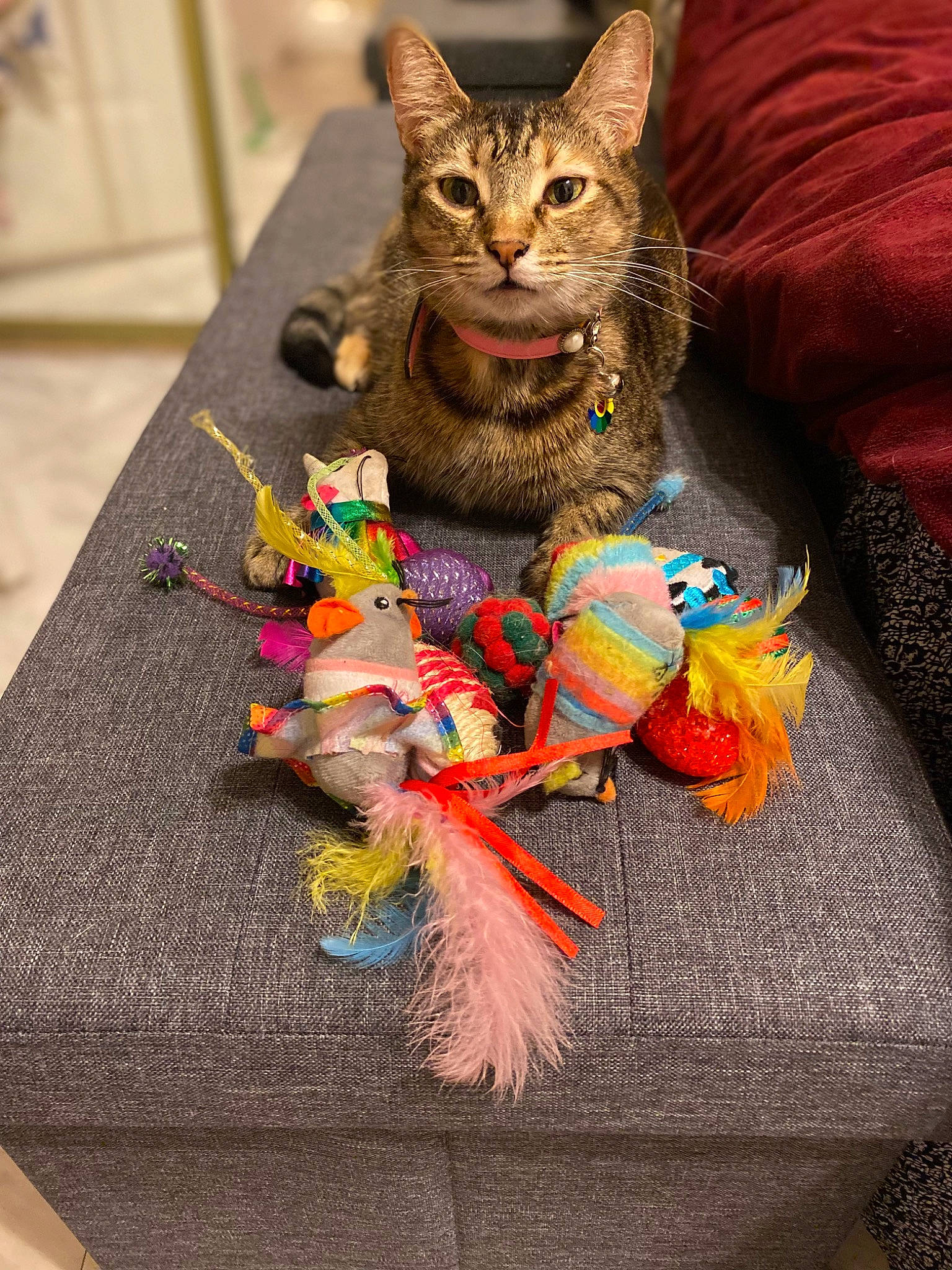 Gigi joined the competition — help win amazing prizes! art, carnivore, cat, claw, domestic_short_haired_cat, fashion_accessory, fawn, felidae, fur, linens, pattern, paw, sitting, small_to_medium_sized_cats, tail, thread, toy, visual_arts, whiskers