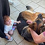 adult, arm, black_pants, brown_hair, casual_clothing, child, dog, german_shepherd, grass, human_hand, outdoor, patio, pet, pink_shoes, shoe, sneaker, tattoo, tile_floor, toddler, white_shirt