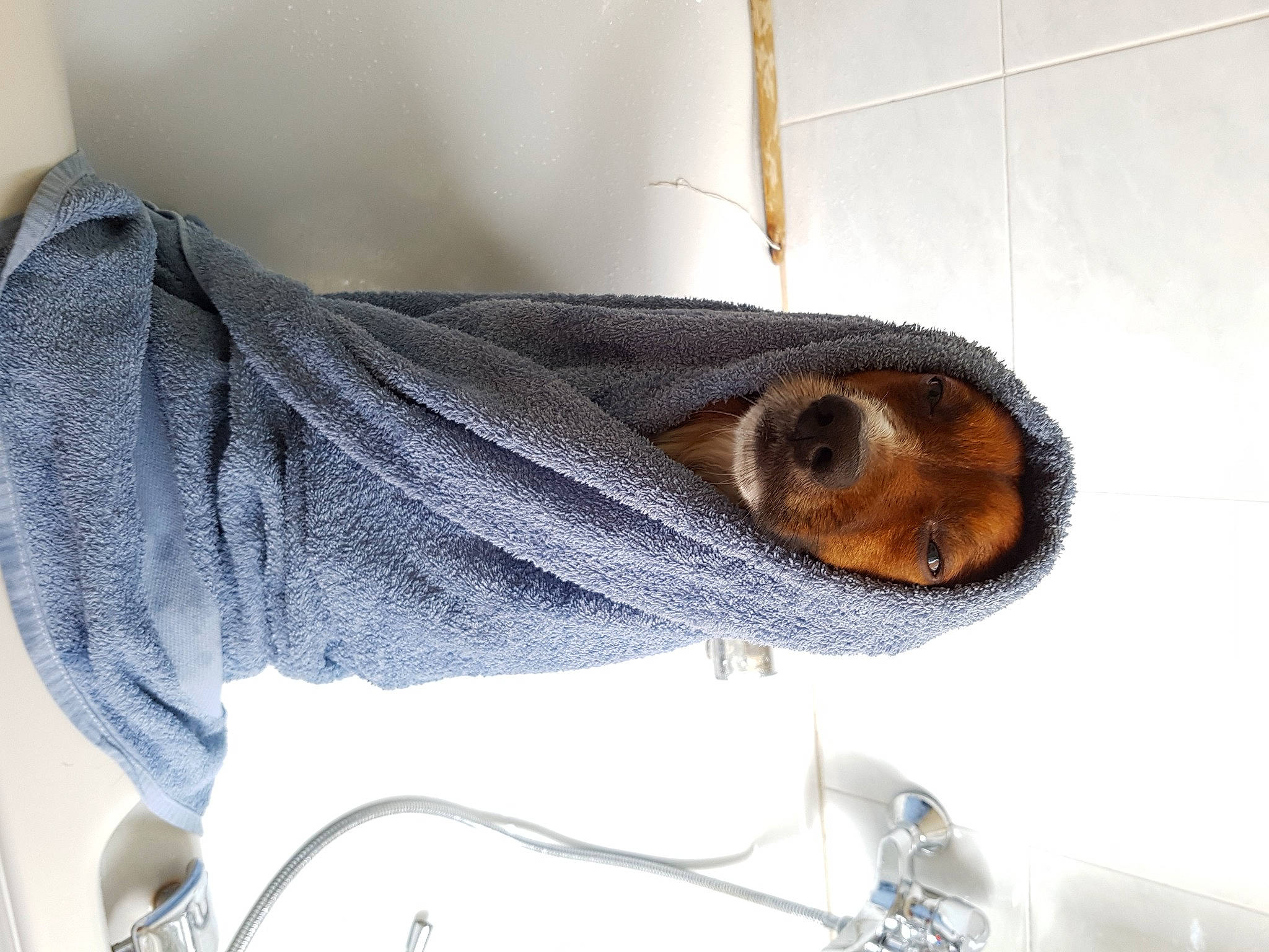 Taddy a rejoint le concours — aidez-le/la à gagner de superbes lots ! audio_equipment, child, comfort, denim, eyewear, fashion_accessory, fur, grey, personal_protective_equipment, scarf, sitting, sleeve, winter, wood, wool