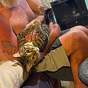 Boots is registered to the contest to win money with this photo: cat, tabby_cat, man, beard, shirtless, shorts, tattoo, indoor, curtains, heater, furniture, couch, pet, animal, holding, lap, relaxed, home, casual, curious