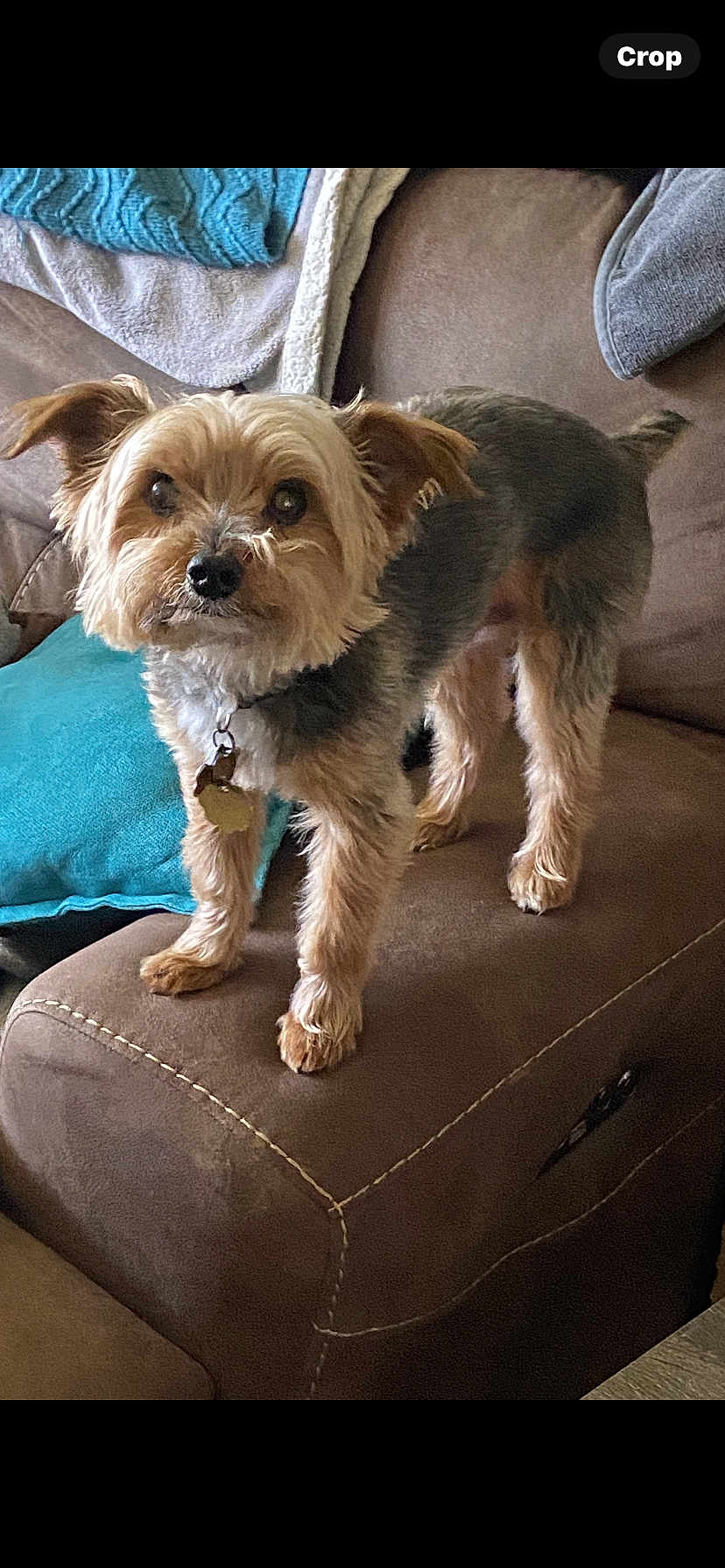 Teeki