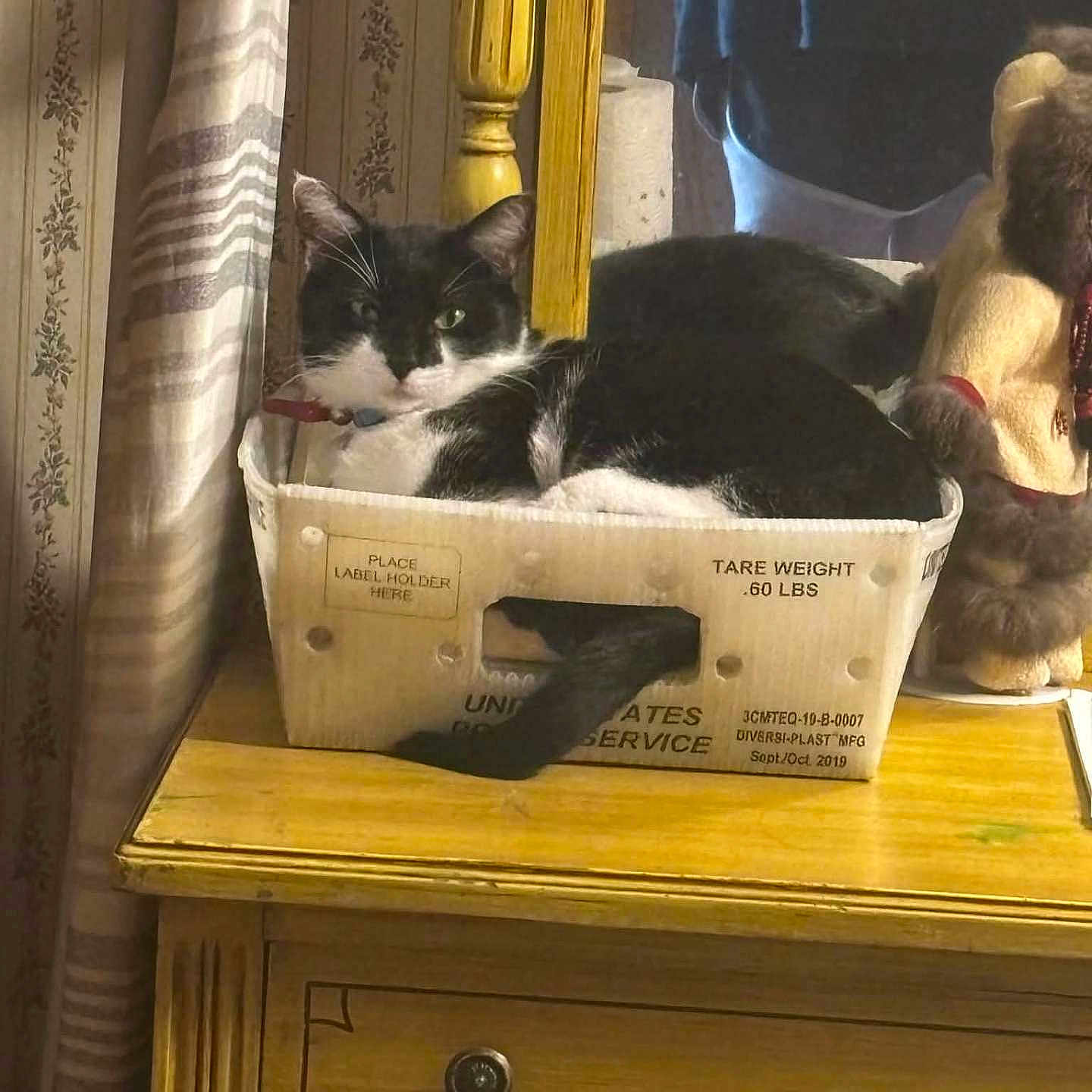 Coco