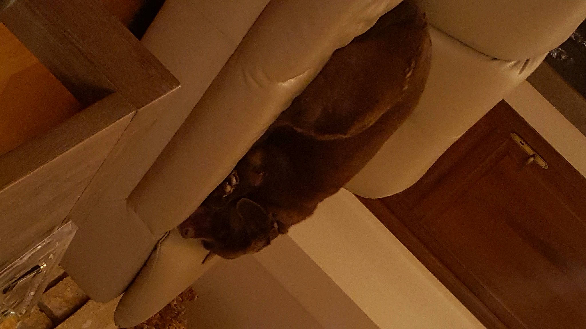 Alba a rejoint le concours — aidez-le/la à gagner de superbes lots ! beam, beige, ceiling, elbow, fashion_accessory, flooring, gesture, hardwood, human_body, human_leg, knee, leg, nail, room, thigh, thumb, tints_and_shades, wood, wood_stain, wrist