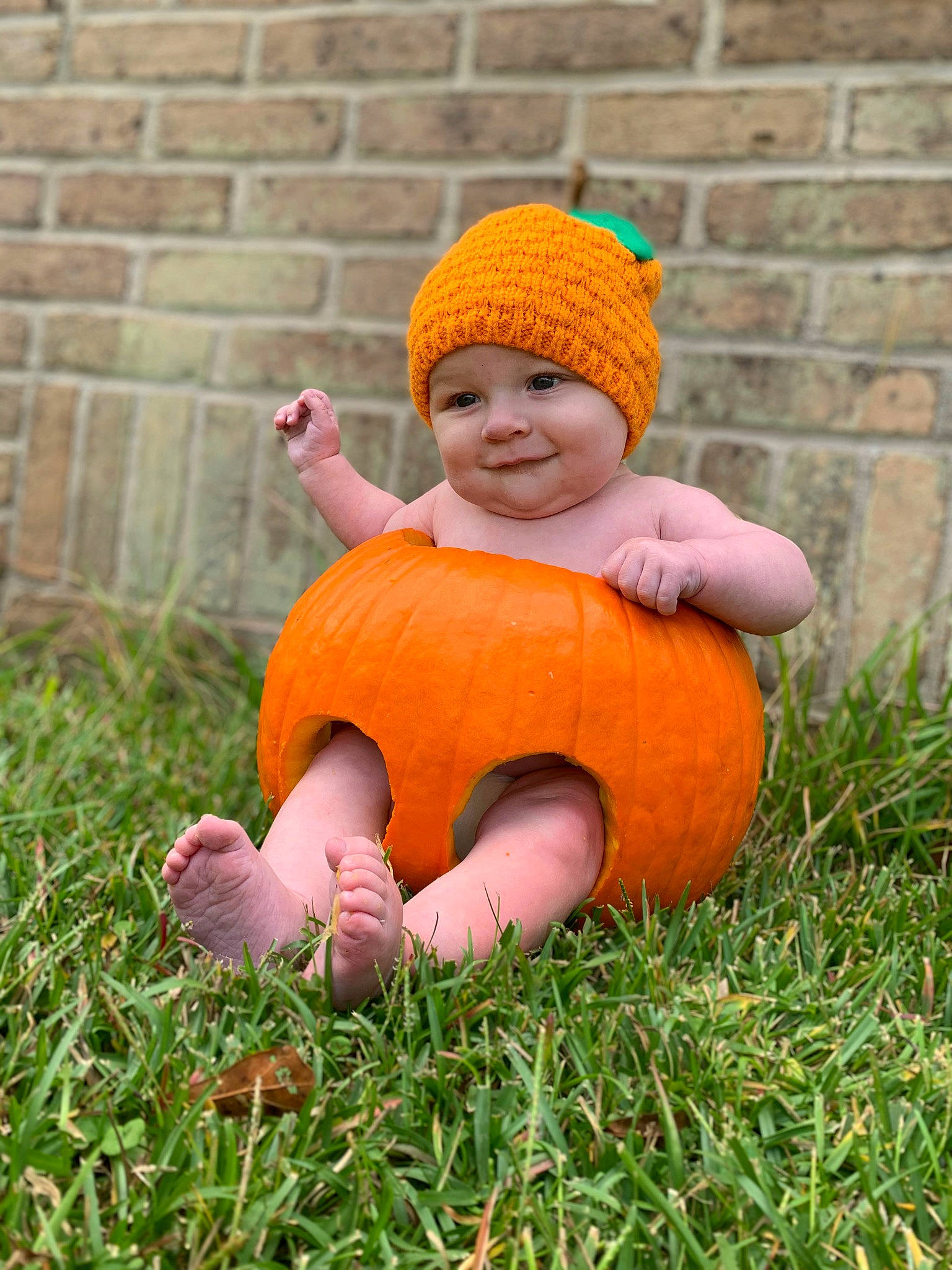 Jensen joined the competition — help win amazing prizes! baby, baby_toddler_clothing, ball, brick, brickwork, calabaza, cap, fun, grass, happy, headwear, joy, orange, people_in_nature, person, plant, pumpkin, sitting, smile, sports_equipment