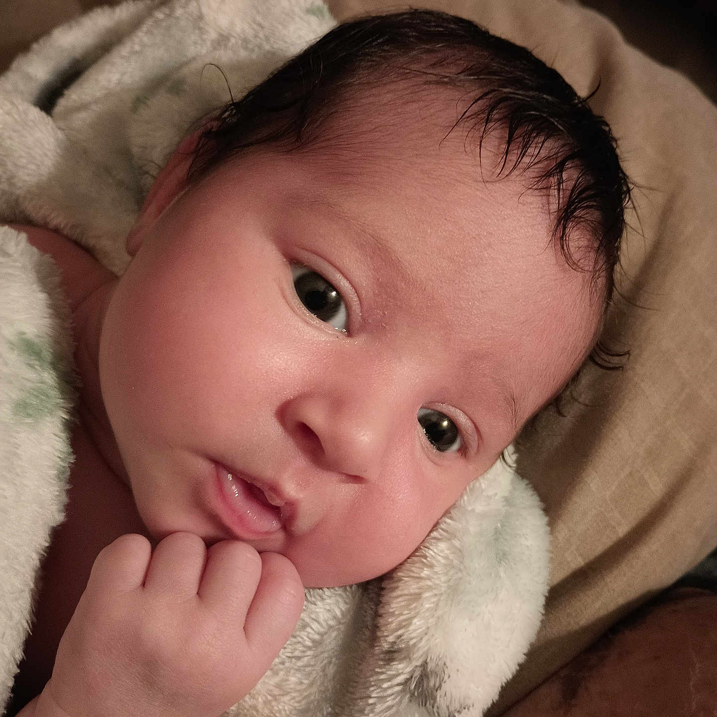 Zariana joined the competition — help win amazing prizes! baby, blanket, bodypart, couch, face, finger, furniture, hand, happy, head, mouth, newborn, person, photography, portrait, quilt, smile, towel