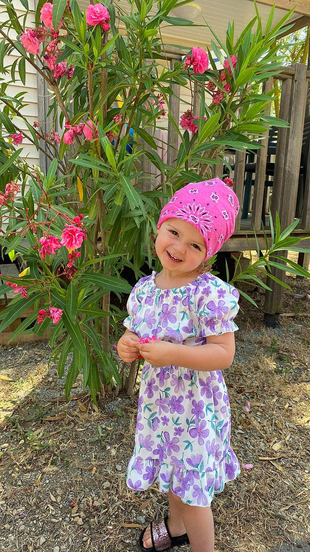 Celya participe au concours pour gagner de l'argent avec cette photo : annual_plant, baby_laughing, baby_toddler_clothing, botany, flower, fun, garden, grass, happy, headwear, joy, leaf, magenta, people_in_nature, person, petal, pink, plant, shrub, sleeve