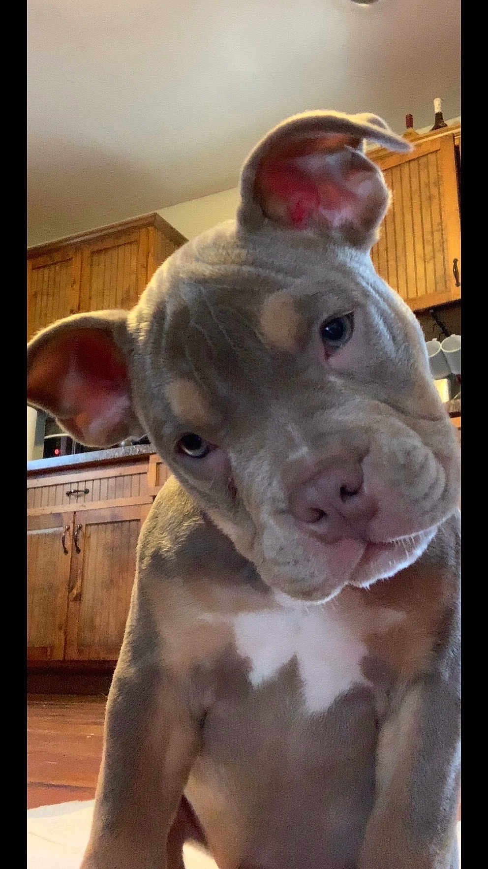 Blu