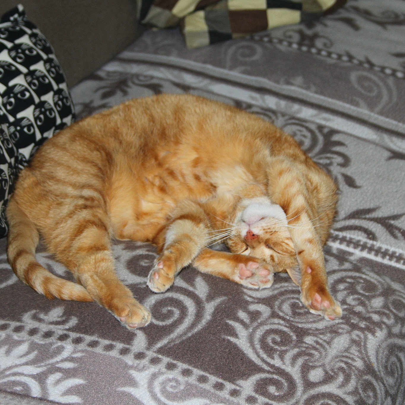 Roméo