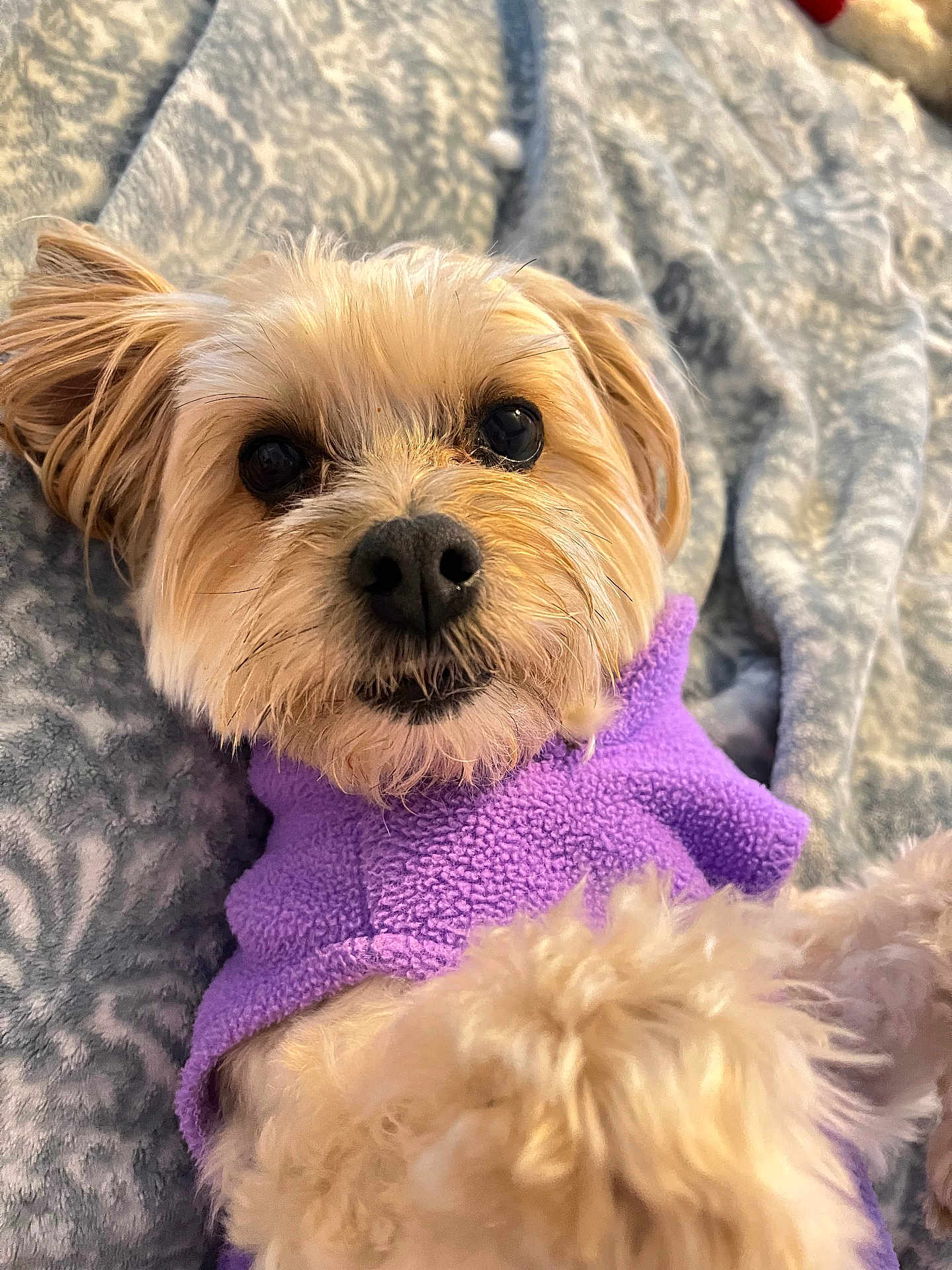 Kaia