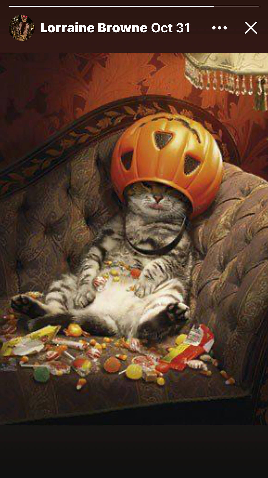 Bugsy is registered to the contest to win money with this photo: art, calabaza, carmine, comfort, cucurbita, darkness, flooring, gourd, helmet, linens, pattern, personal_protective_equipment, pumpkin, room, squash, still_life_photography, toy, visual_arts, winter_squash, wood