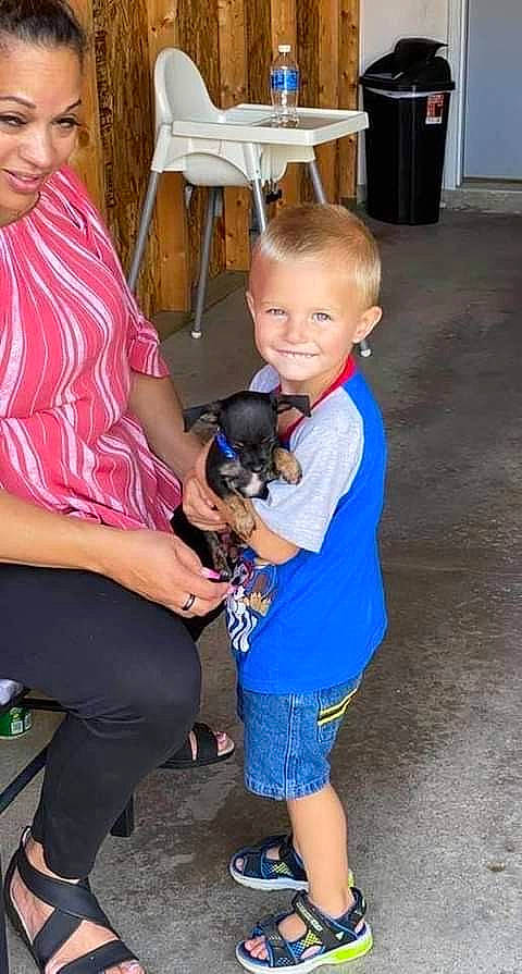 Kaden joined the competition — help win amazing prizes! carnivore, chair, child, companion_dog, dog, dog_breed, event, fawn, flip_flops, fun, joint, joy, lap, leg, person, sandal, shoe, smile, sneakers, sporting_group