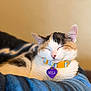 cat, calico_cat, sleeping, pet, collar, name_tag, purple_tag, heart_tag, cozy, blanket, bed, portrait, whiskers, ear, fur, indoor, close_up, bokeh, shallow_depth_of_field, relaxed