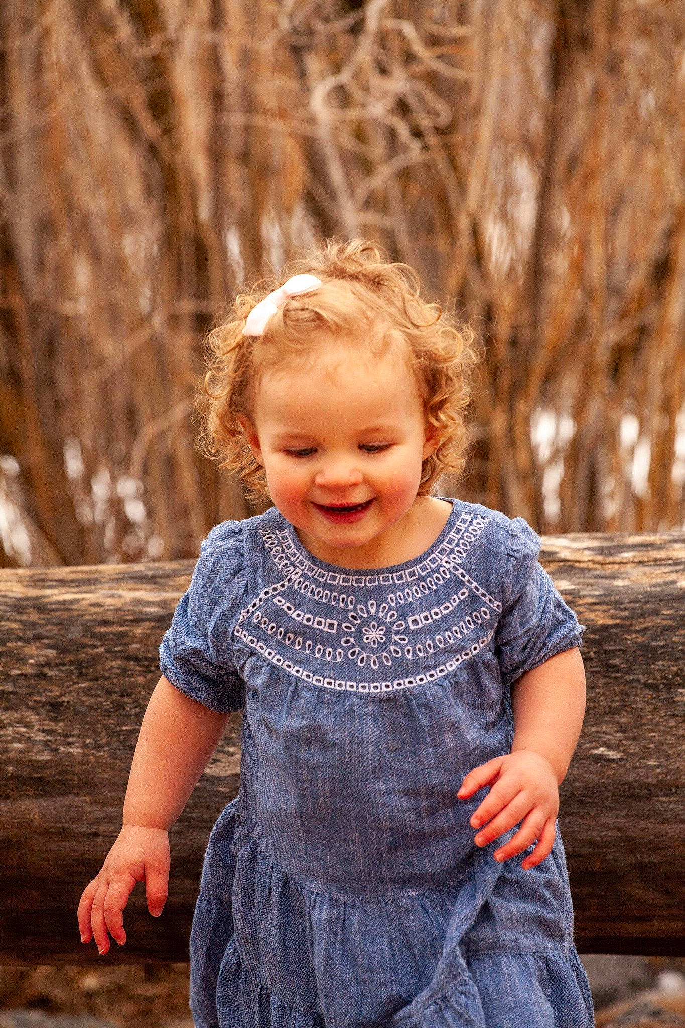 Emerie joined the competition — help win amazing prizes! branch, dress, eye, face, flash_photography, hair, hairstyle, happy, head, iris, joy, leaf, people_in_nature, person, photograph, plant, skin, sleeve, smile, sunlight