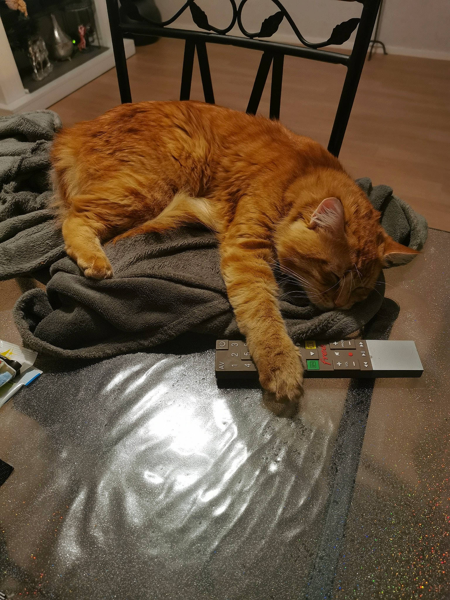 Beerus a rejoint le concours — aidez-le/la à gagner de superbes lots ! bed, carnivore, cat, claw, comfort, domestic_short_haired_cat, fawn, felidae, flooring, fur, hardwood, linens, nap, paw, plant, small_to_medium_sized_cats, tail, terrestrial_animal, whiskers, wood